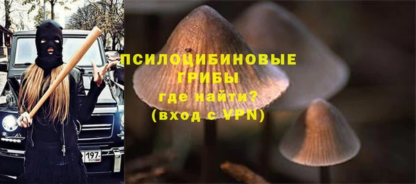 бутират Баксан