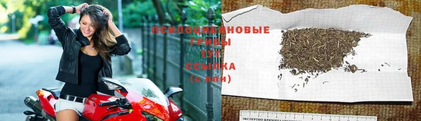 spice Балабаново
