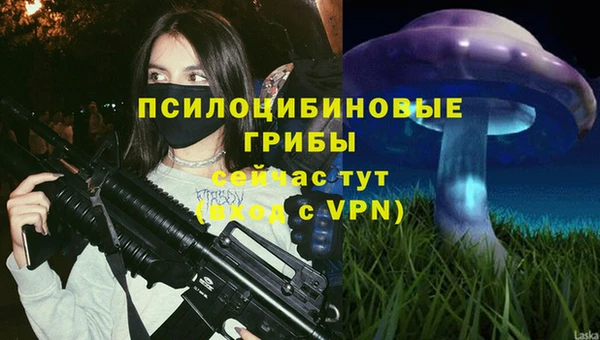 бутират Баксан