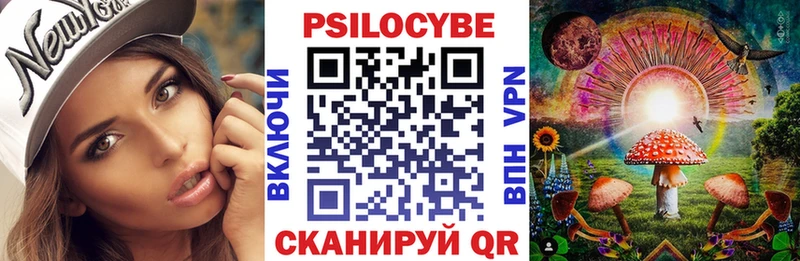 KRAKEN как войти нарко площадка состав Галлюциногенные грибы Psilocybe Сельцо