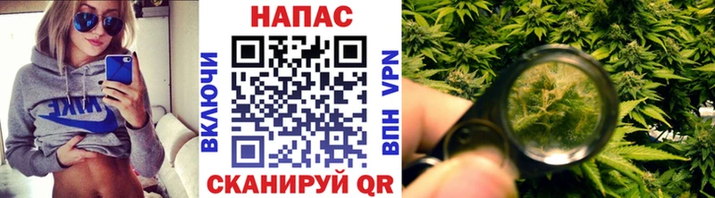 сайты даркнета Telegram Сельцо Конопля Ganja